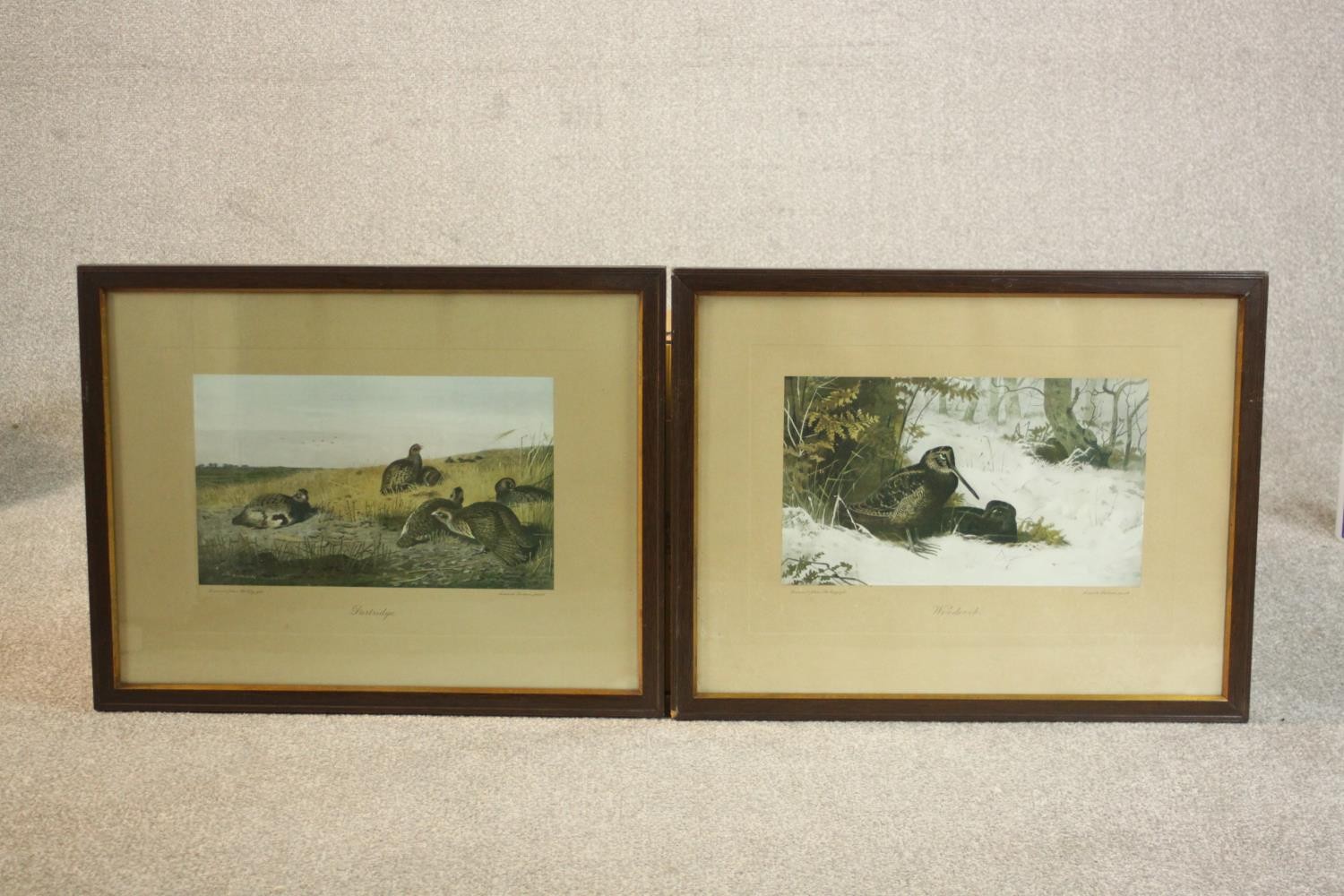 Two framed and glazed prints of game birds, one of woodcocks and one of partridges. H.47 W.60cm. (