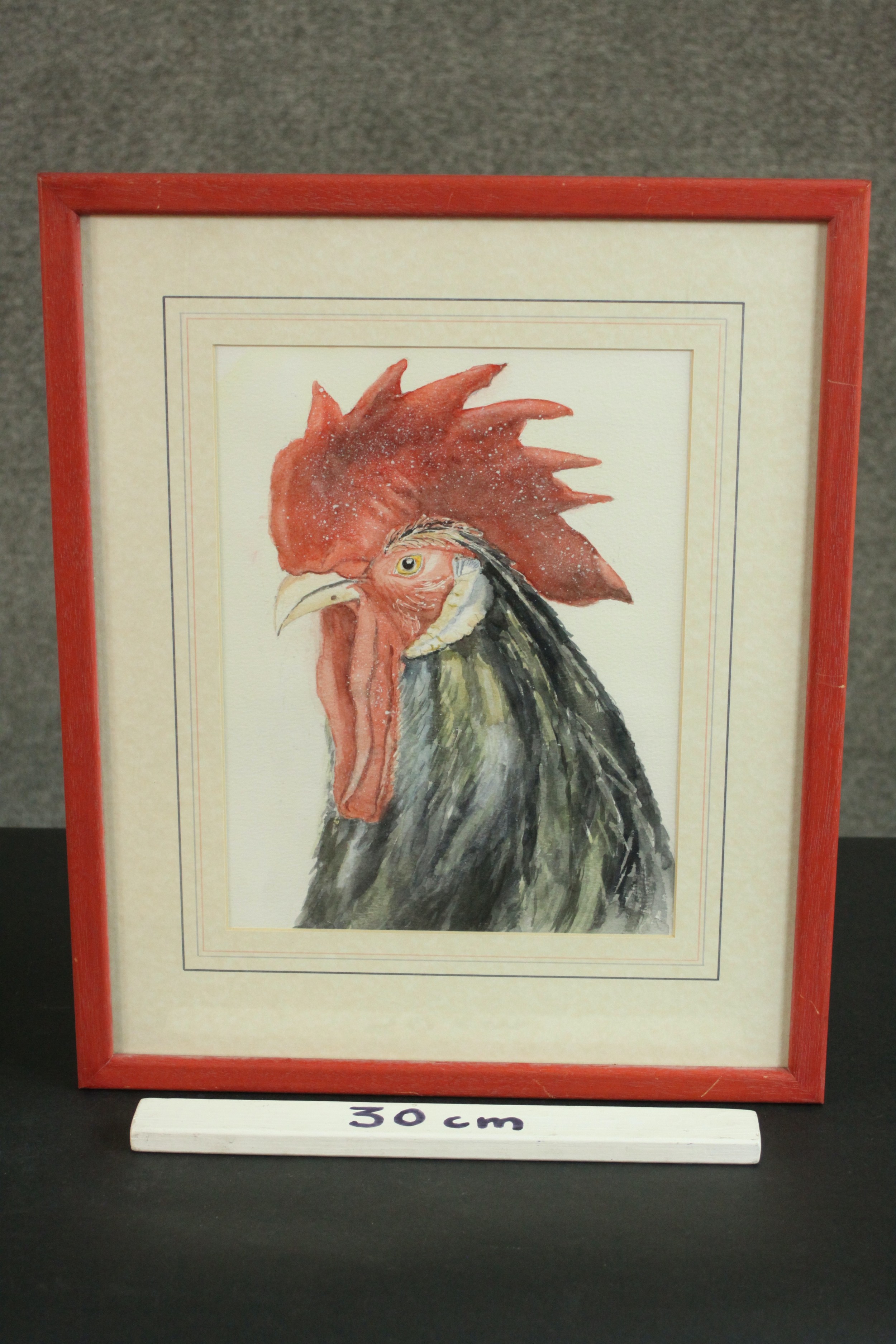 A framed and glazed watercolour of a black rooster, unsigned. H.46 W.37cm. - Image 3 of 5
