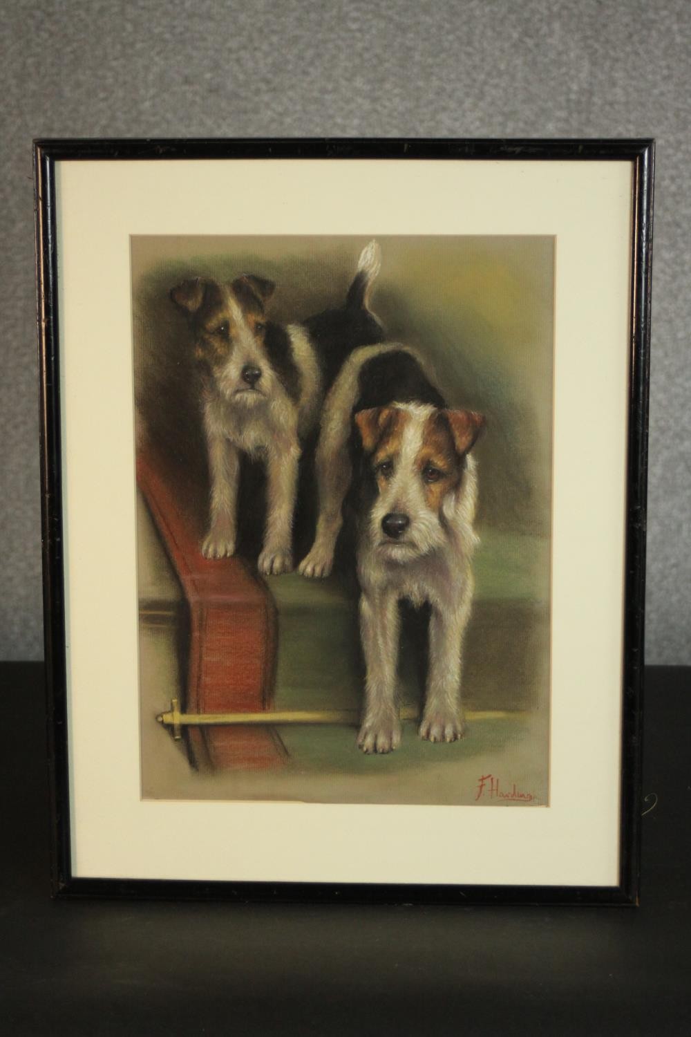 A framed and glazed pastel of two Fox Terriers, signed F. Harding. Info to back. H.45 W.35cm. - Image 2 of 5