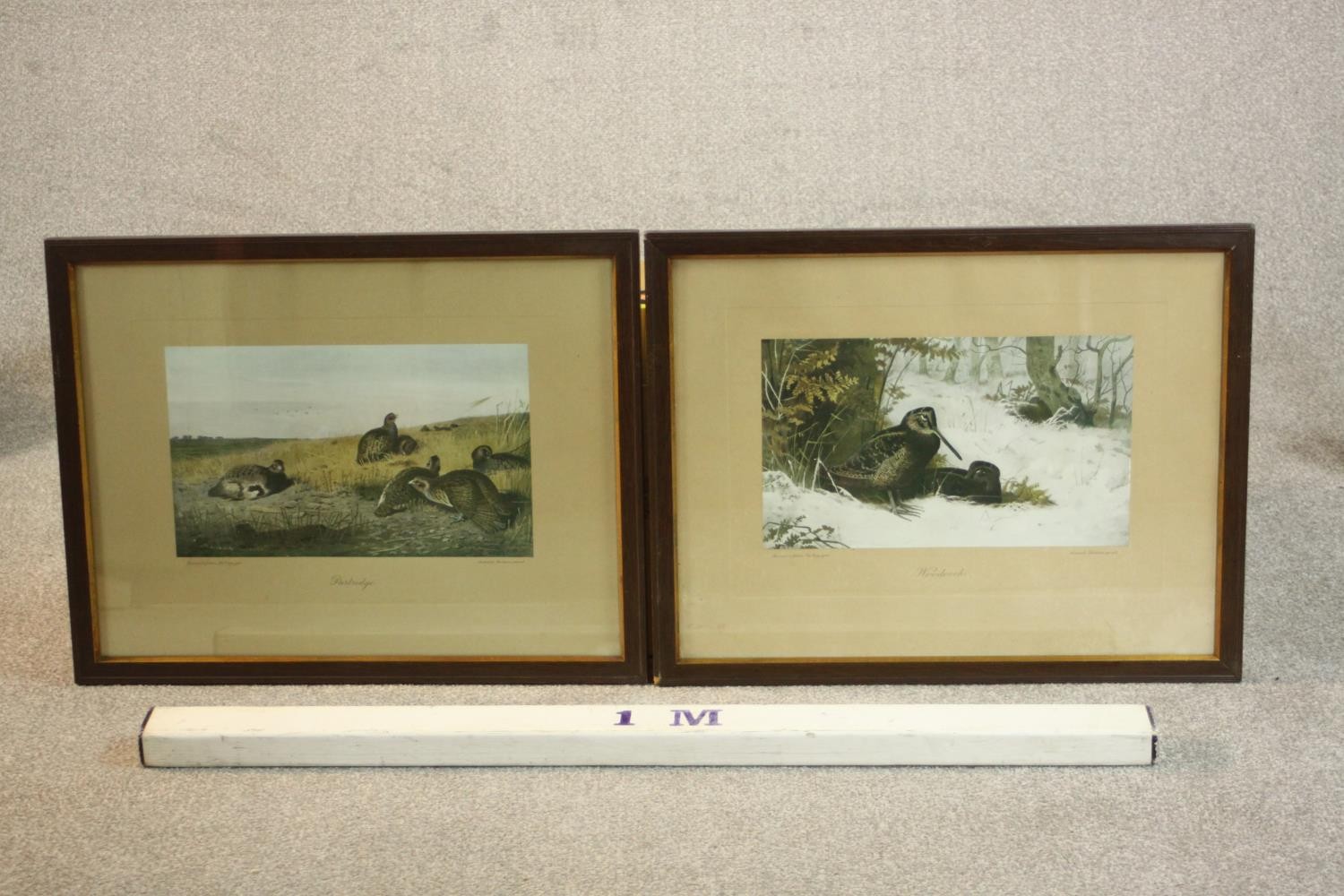 Two framed and glazed prints of game birds, one of woodcocks and one of partridges. H.47 W.60cm. ( - Image 2 of 6
