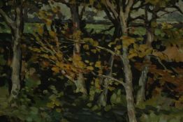 Forwall, 20th century, oil on board, a study of trees and dappled light. Signed lower right. H.50