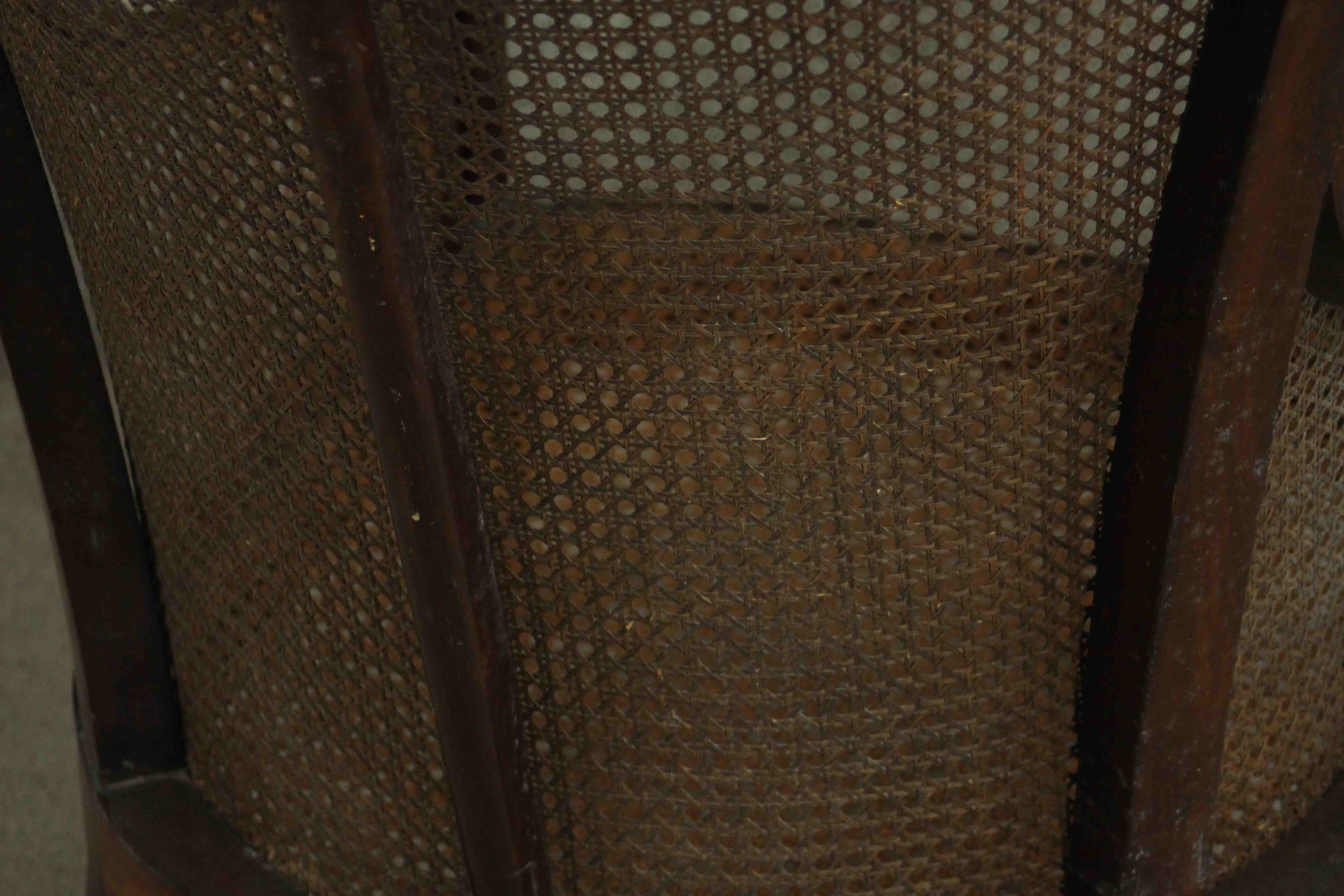A William IV mahogany caned bergere tub chair, the reeded top rail with carved palm leaves to each - Image 7 of 8