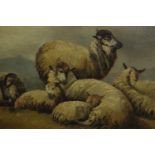A.M. Marrat, Resting Sheep, oil on canvas, signed and dated 1885 lower right. H.48 W.73cm