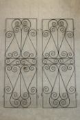 A pair of black painted wrought iron gates, decorated with spiral designs. H.177 W.64cm. (each)