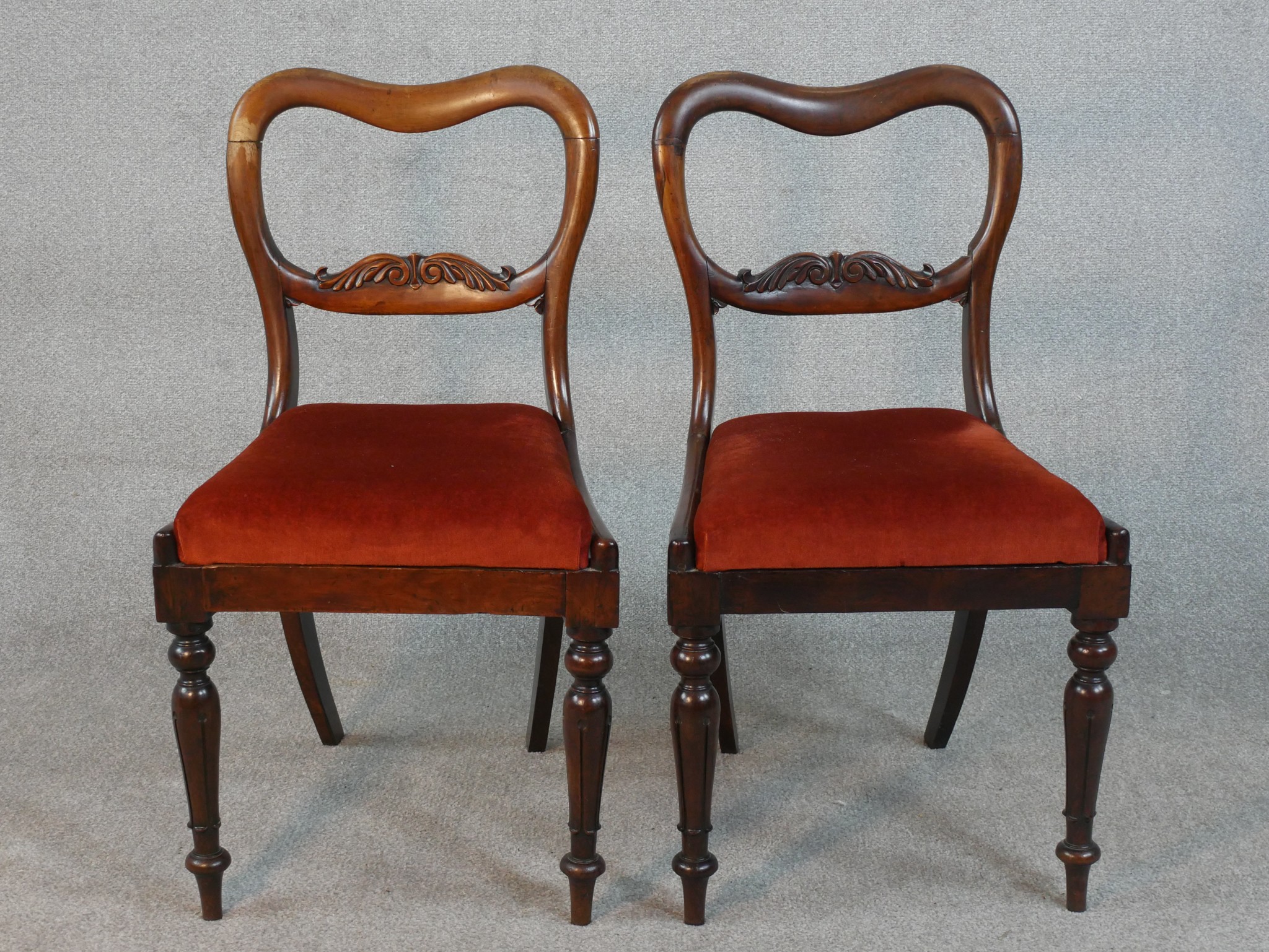 A pair of Victorian walnut kidney back dining chairs, the drop in seat upholstered in red velour, on