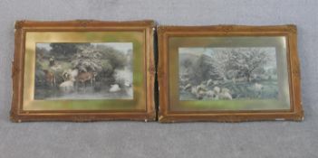 After Basil Bradley, two gilt framed hand coloured 19th century engravings, one of sheep under