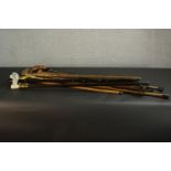 A collection of 20th century walking sticks. L.94cm. (longest)