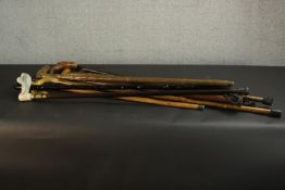 A collection of 20th century walking sticks. L.94cm. (longest)