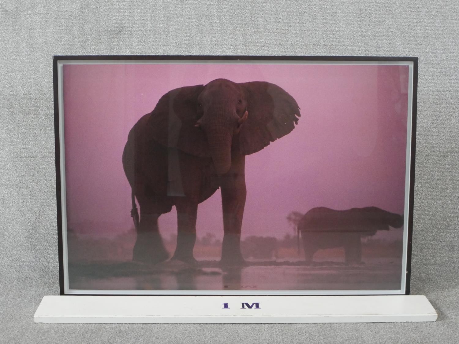 Chris Johns (b.1951), Bull Elephant at Dusk, Botswana, 1999, chromogenic print, printed 2014, - Image 3 of 6