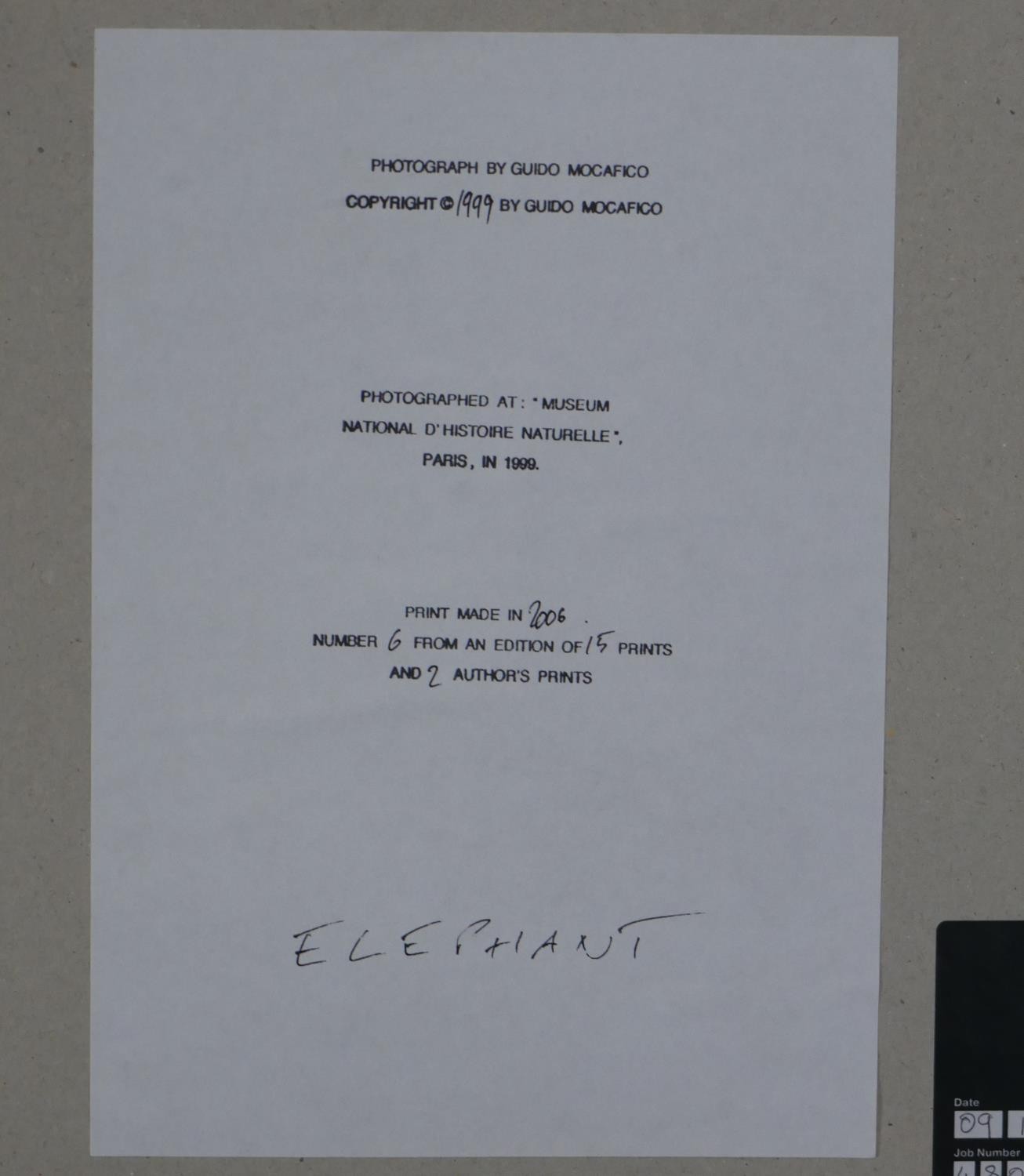 Guido Mocafico (b.1962), elephant skull, photographic print, label verso, edition 6/15. H.52 W.42. - Image 4 of 4