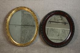 Two oval wall mirrors, one ebonized and one gilt framed. H.68 W.54cm. (largest)