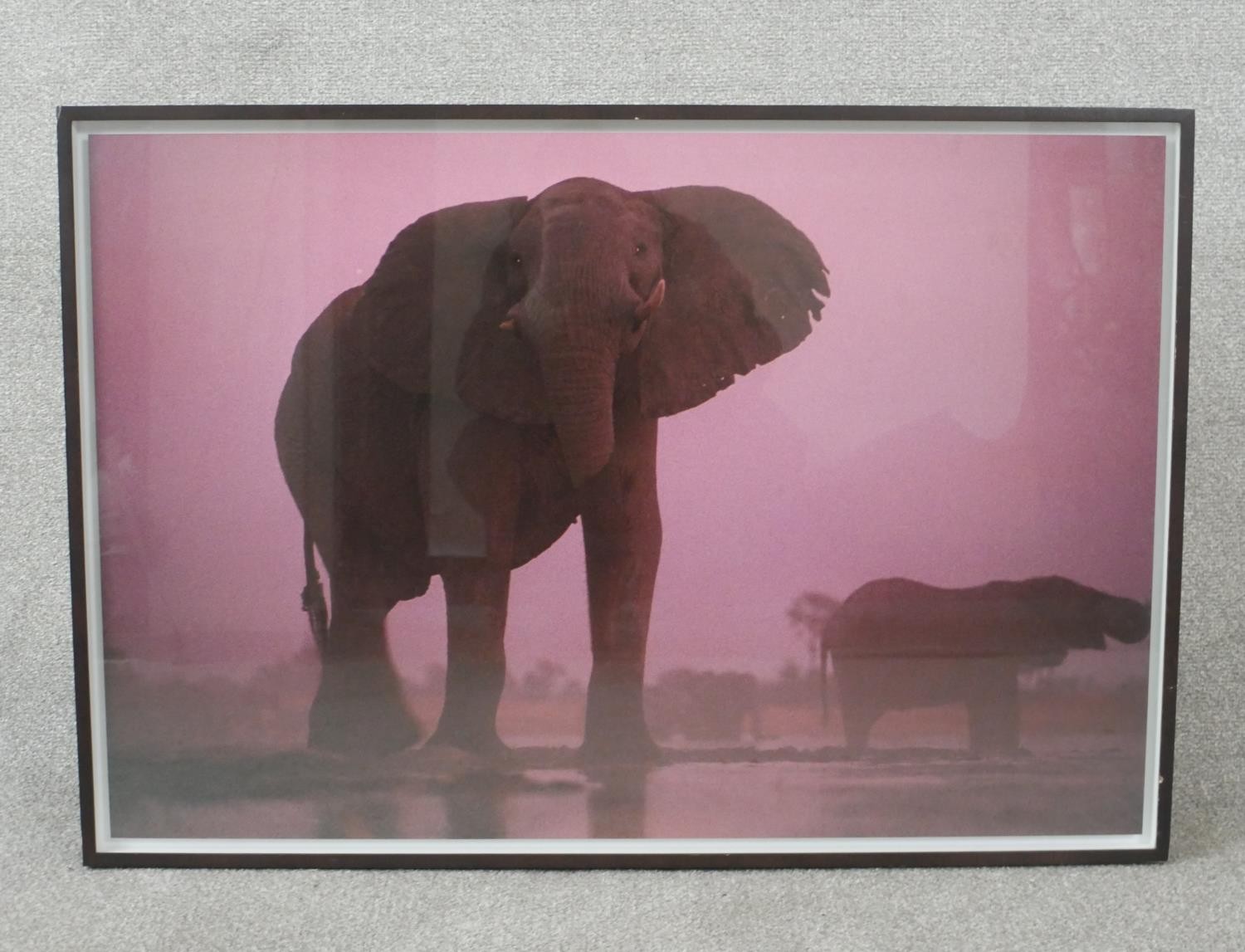 Chris Johns (b.1951), Bull Elephant at Dusk, Botswana, 1999, chromogenic print, printed 2014, - Image 2 of 6