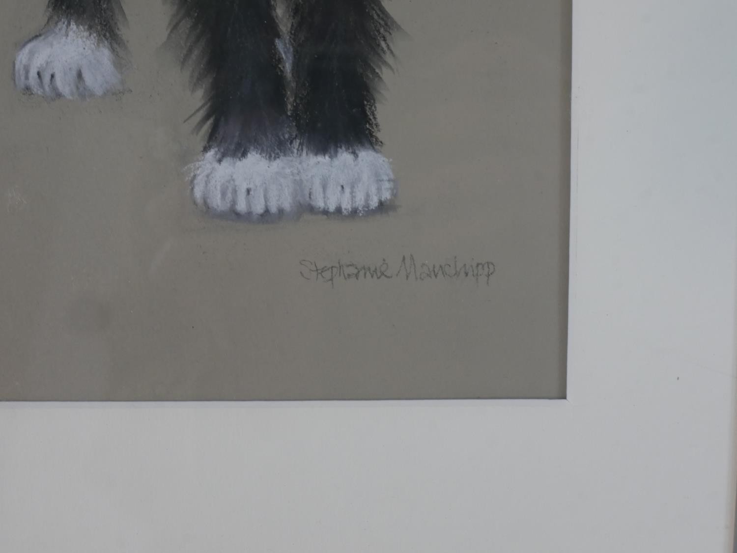 Stephanie Manchipp, 'Where Have You Been?', pastel on paper, signed and label verso. H.51.5 W.30cm - Image 5 of 6