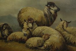 A.M. Marrat, Resting Sheep, oil on canvas, signed and dated 1885 lower right. H.48 W.73cm