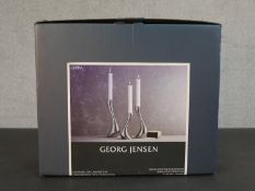 A boxed set of three Georg Jensen Cobra Collection candle holders. H.27 W.31 D.9cm (box)