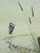 Warwick Higgs (b. 1956), Heron, watercolour, signed in pencil lower left. H.70 W.55cm.