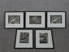 Judith Downie, five signed etchings of cats, each signed, titled and numbered. Label verso. H.22 W.