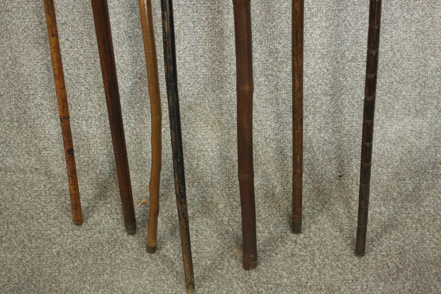 A collection of seven early 20th century walking canes, two with silver tops. L.90cm. (longest) - Image 4 of 4