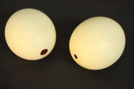A pair of blown ostrich eggs. H.16 Dia.12cm. (each)