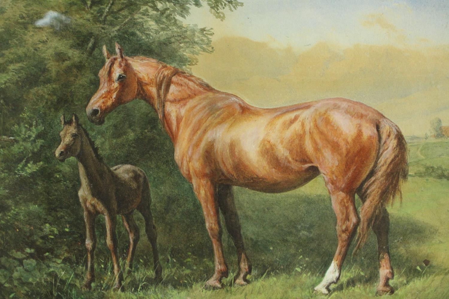 A gilt framed 19th century watercolour of a mare and foal, unsigned. H.58 W.78cm.