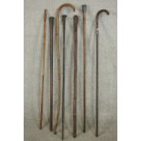 A collection of seven early 20th century walking canes, two with silver tops. L.90cm. (longest)