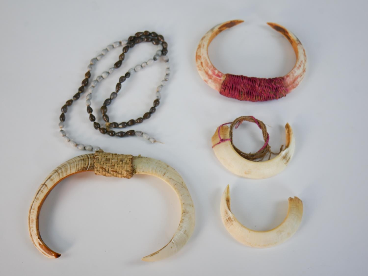 A collection of 20th century Papua New Guinea animal tusk necklaces and amulets, some bound with