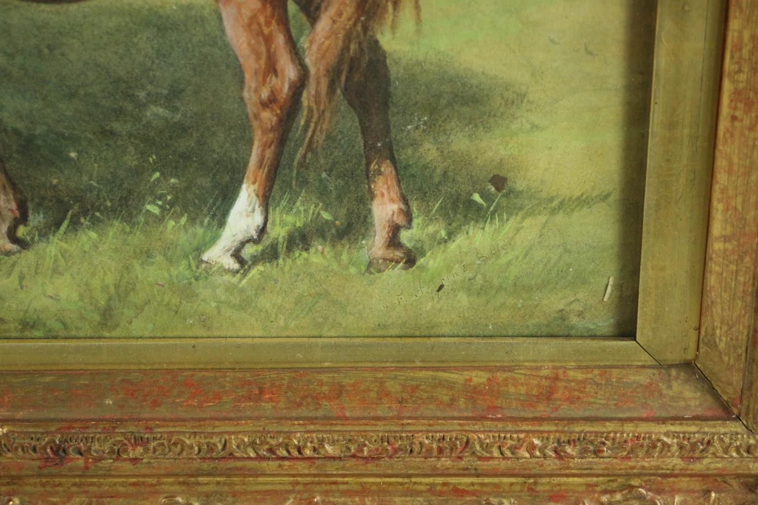 A gilt framed 19th century watercolour of a mare and foal, unsigned. H.58 W.78cm. - Image 4 of 7