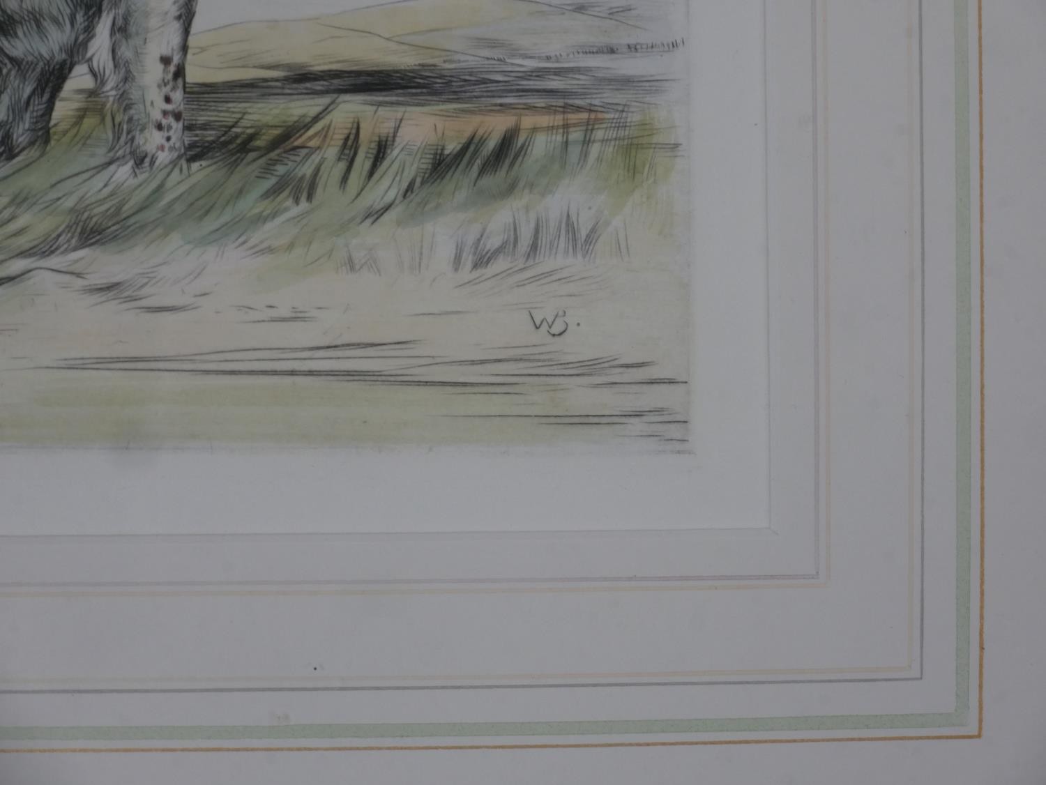 Two framed and glazed prints. Reuben Ward Binks, signed hand coloured engraving of an English Setter - Image 4 of 8