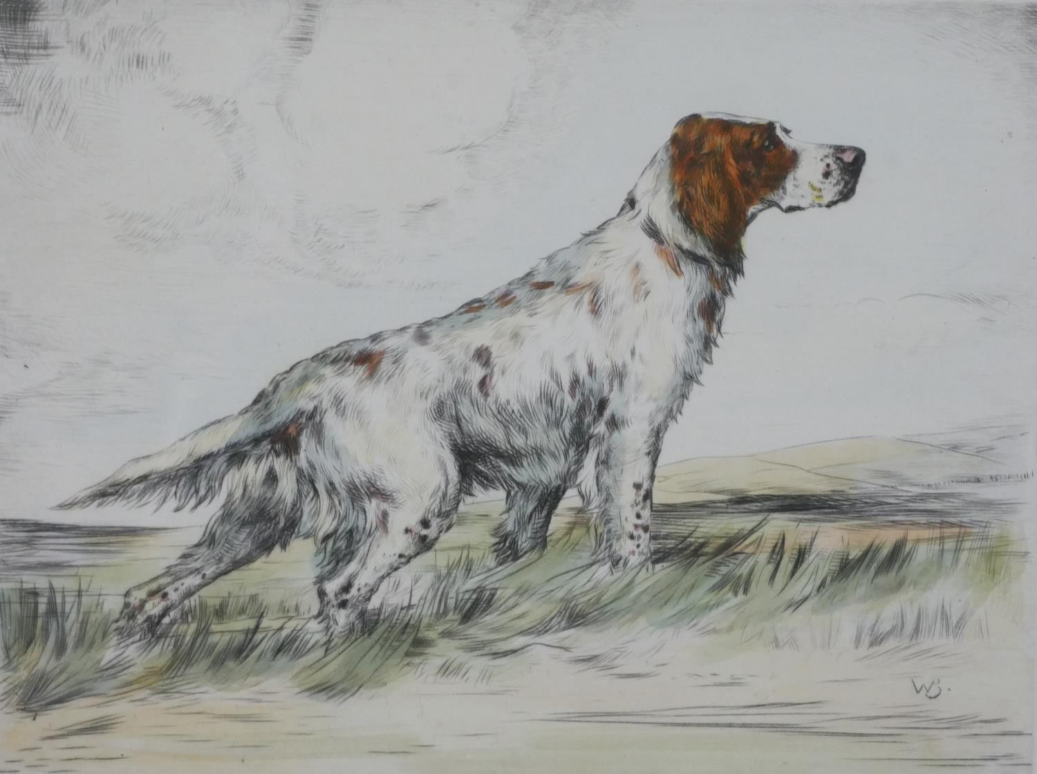 Two framed and glazed prints. Reuben Ward Binks, signed hand coloured engraving of an English Setter - Image 3 of 8