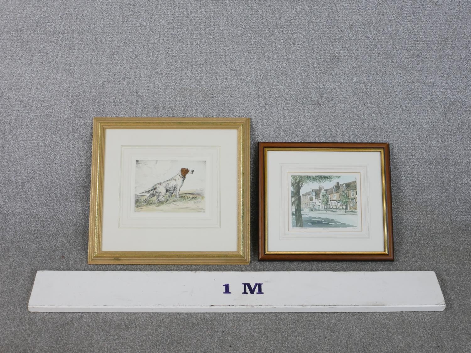 Two framed and glazed prints. Reuben Ward Binks, signed hand coloured engraving of an English Setter - Image 2 of 8