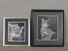 Louise Welsh, Midnight Cowboy, Stalker, Two pencil drawings of cats, signed and labels verso. H.55