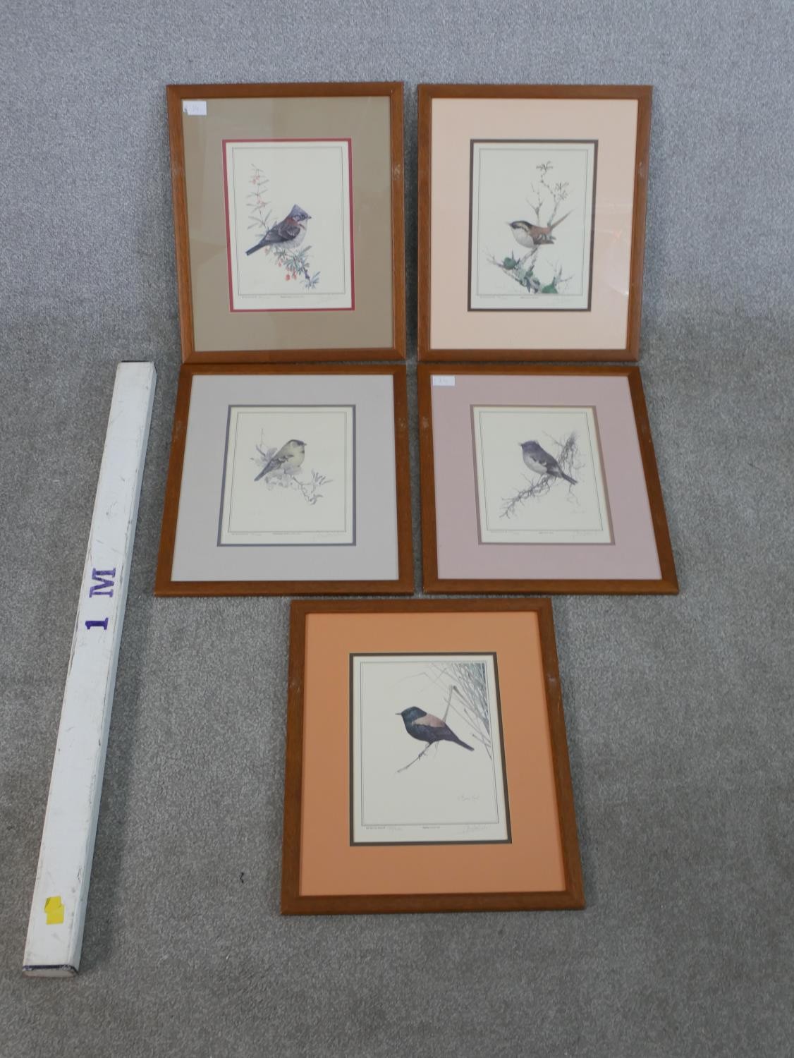 Iván Moricz Karl, 1941, a group of five framed and glazed signed prints depicting species of South - Image 2 of 7