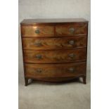 A mid 19th century mahogany bow front chest of two short over three long graduated drawers, over a