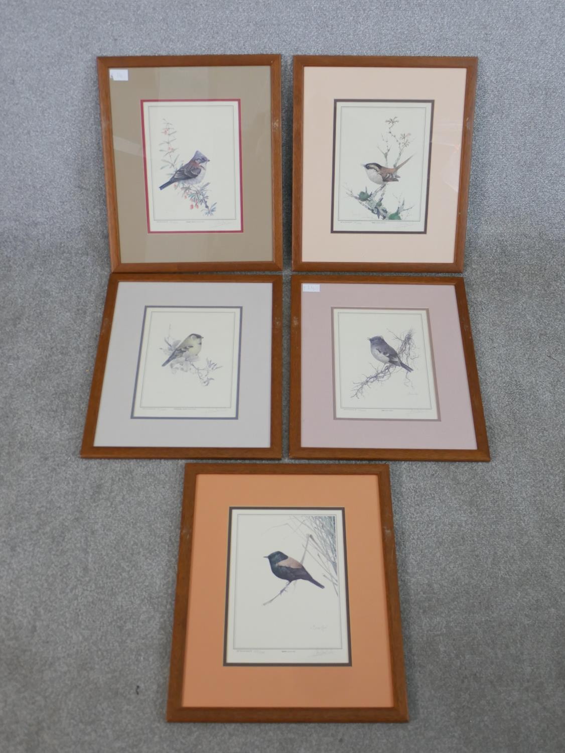 Iván Moricz Karl, 1941, a group of five framed and glazed signed prints depicting species of South