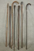 A collection of seven early 20th century walking canes, two with silver tops. L.90cm. (longest)