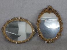 Two oval gilt and moulded plaster mirrors, both frames decorated with acanthus leaves. H.65 W.