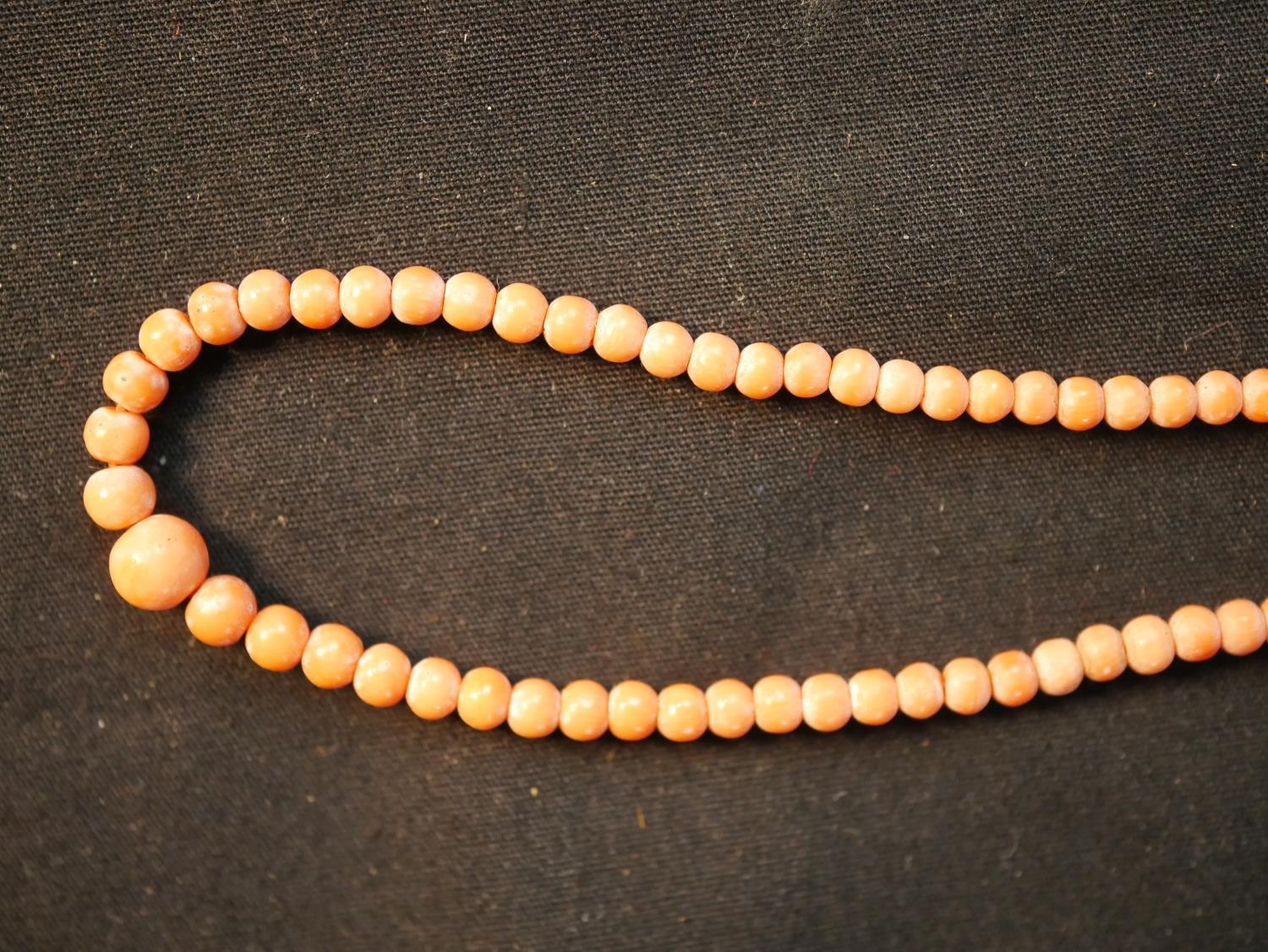 A long early 20th century orange branch coral necklace along with a Victorian graduated coral bead - Image 5 of 7
