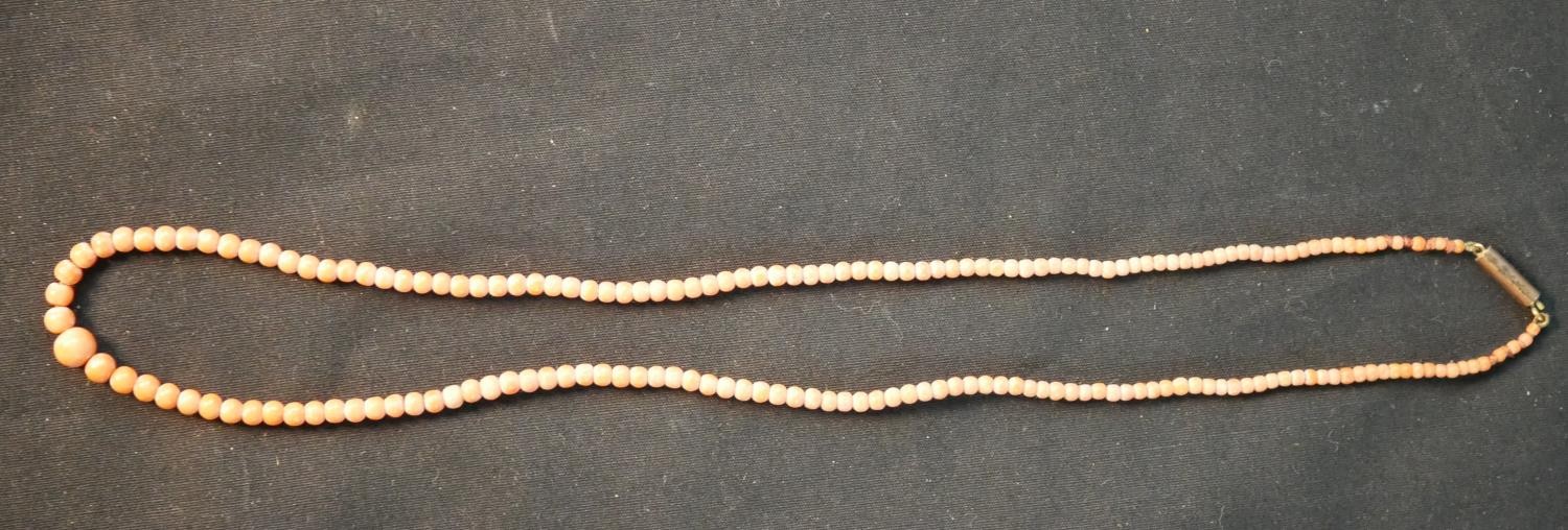 A long early 20th century orange branch coral necklace along with a Victorian graduated coral bead - Image 4 of 7