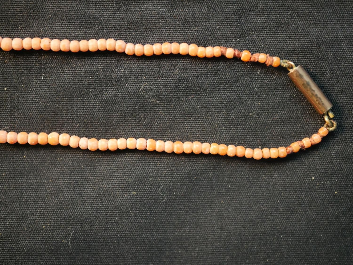 A long early 20th century orange branch coral necklace along with a Victorian graduated coral bead - Image 6 of 7
