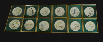 The Birds of Dorothy Doughty by Royal Worcester, a set of twelve framed and glazed hand painted