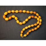 A large antique knotted butterscotch amber bead necklace. The necklace comprising of forty beads,