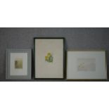 Three framed and glazed signed engravings of flowers and landscapes. 'Return to the Land' by Chris