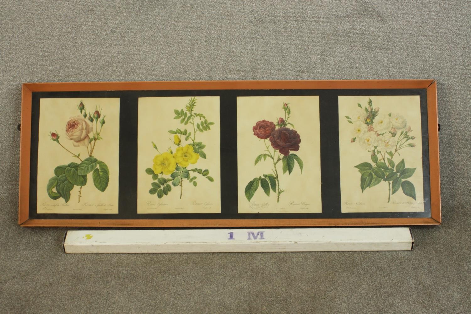 A framed and glazed set of four prints of 19th century botanical engravings of species of roses. H. - Image 2 of 8