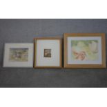 Three framed and glazed watercolours, unsigned, one of vegetables. H.43 W.50cm (largest)