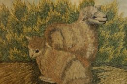 A 19th century embroidered study of two sheep by a hedge, framed. H.18 W.21cm.