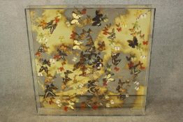 Nick Jeffrey, 'Thermal Heights V', installation art, mounted butterflies in perspex case with mirror