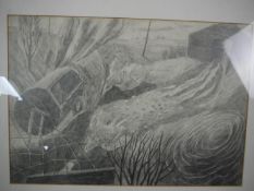 A framed and glazed pencil drawing titled 'Chick Muck Spreader', signed J. Ferguson and dated. H.