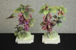 A pair of Royal Worcester hand painted models of Ruby Throated Hummingbirds on Fuschia by Dorothy