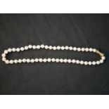 A vintage knotted cultured pearl necklace with ridged 10 carat gold conical design push clasp with