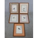 Iván Moricz Karl, 1941, a group of five framed and glazed signed prints depicting species of South